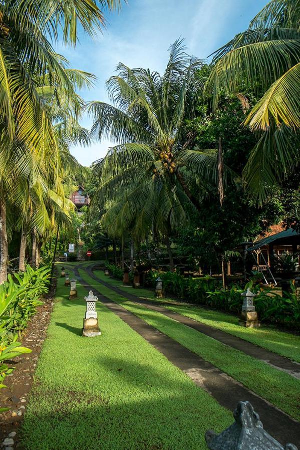 Bella Vista Premium Homestay バニュワンギ エクステリア 写真